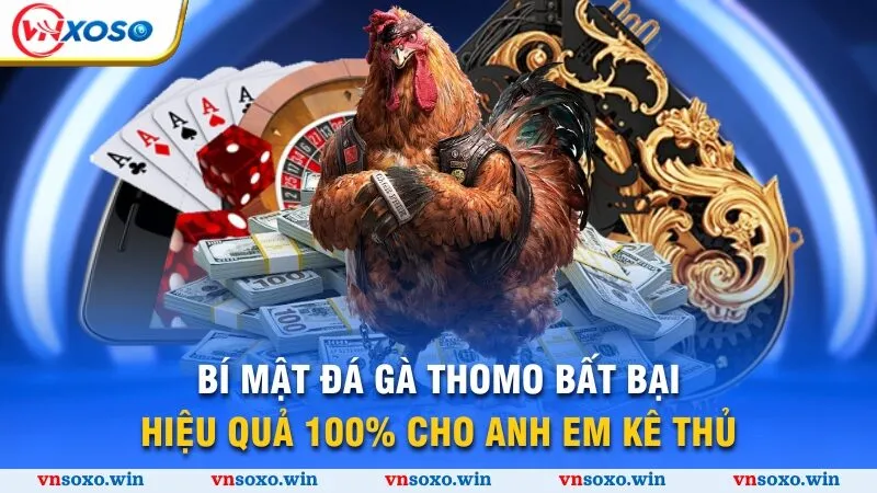 Bí Mật Đá Gà Thomo - Khám Phá Đấu Trường Xanh Chín 2025 5 Bí mật đá gà Thomo bất bại, hiệu quả 100% cho anh em kê thủ