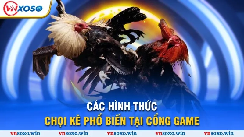Các hình thức chọi kê phổ biến tại cổng game