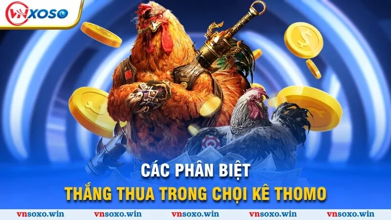 Bí Mật Đá Gà Thomo - Khám Phá Đấu Trường Xanh Chín 2025 4 Cách phân biệt thắng thua trong chọi kê Thomo