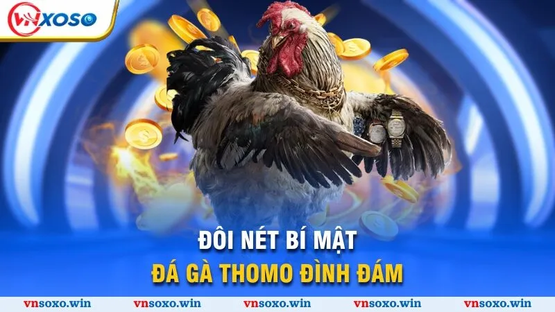 Bí Mật Đá Gà Thomo - Khám Phá Đấu Trường Xanh Chín 2025 1 Đôi nét bí mật đá gà Thomo đình đám