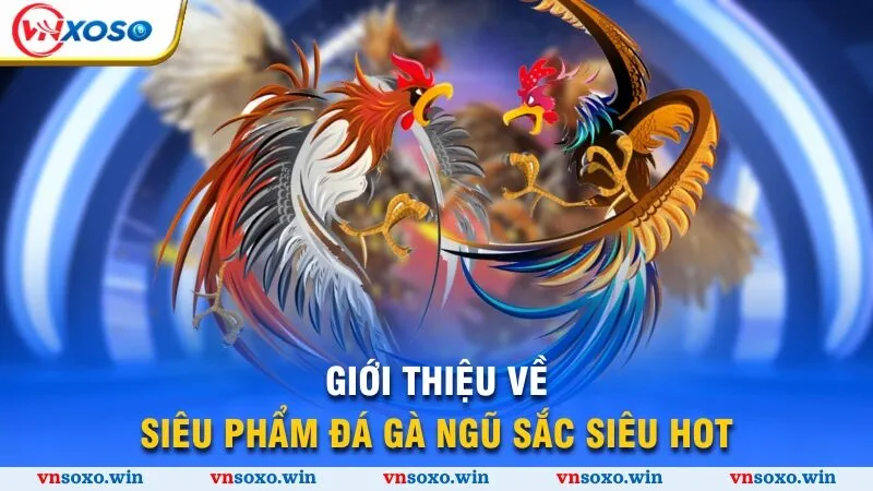 Đá Gà Ngũ Sắc - Bí Kíp Chọn Thần Kê Vượt Trội Thắng Lớn 1 Giới thiệu về siêu phẩm đá gà ngũ sắc siêu hot