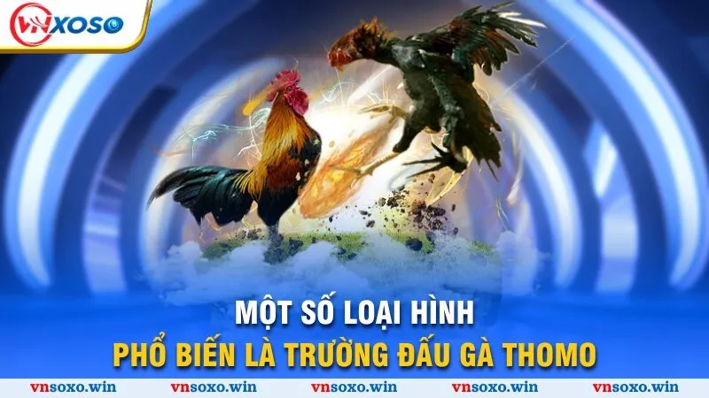 Bí Mật Đá Gà Thomo - Khám Phá Đấu Trường Xanh Chín 2025 3 Một số loại hình phổ biến là trường đấu gà Thomo