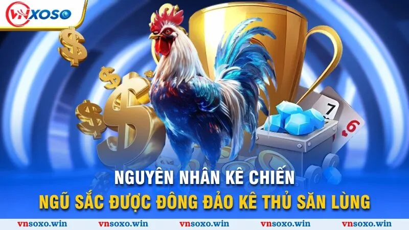 Đá Gà Ngũ Sắc - Bí Kíp Chọn Thần Kê Vượt Trội Thắng Lớn 2 Nguyên nhân kê chiến ngũ sắc được đông đảo kê thủ săn lùng