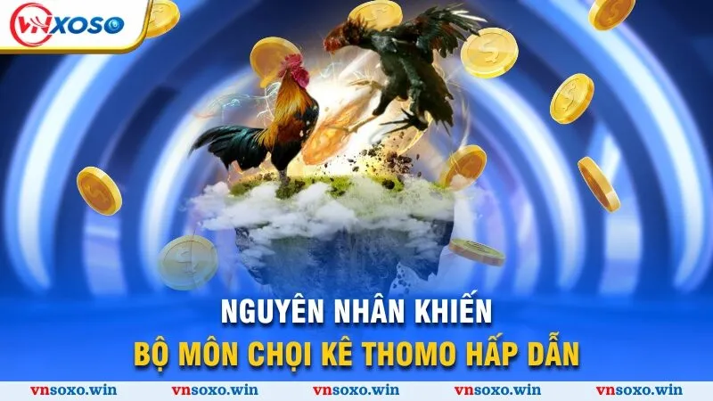 Bí Mật Đá Gà Thomo - Khám Phá Đấu Trường Xanh Chín 2025 2 Nguyên nhân khiến bộ môn chọi kê Thomo hấp dẫn