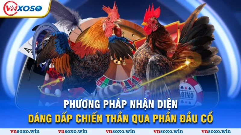 Phương pháp nhận diện dáng dấp chiến thần qua phần đầu cổ