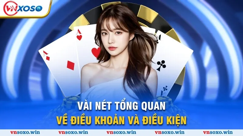 Điều Khoản Điều Kiện 1 Đôi điều cơ bản về điều lệ và điều kiện
