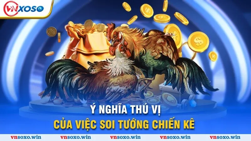 Ý nghĩa thú vị của việc soi tướng chiến kê 